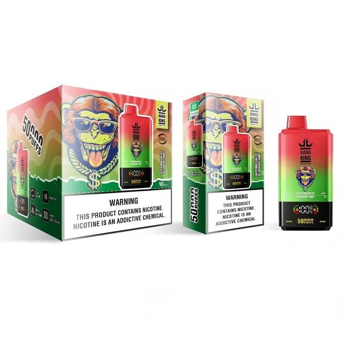 EU Warehouse Bang King 50000 Dual Flavors